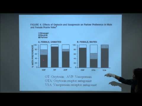 Brain and Behavior - Neurobiology of Love