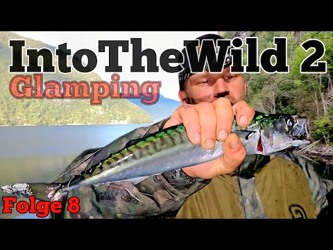 Wir machen es wirklich!!! Wir fangen und verspeisen Katzenhai 🦈