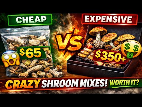 This $350+ Shroom Mix Is INSANE 😳 | Schedule 1