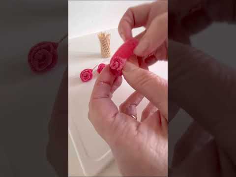 Sour Belt Roses