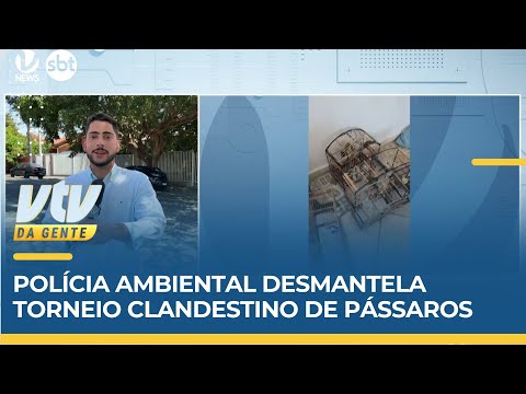 Polícia Ambiental desmantela torneio clandestino de pássaros em Elias Fausto | VTV da Gente
