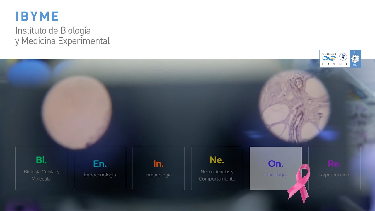 Día mundial de lucha contra el cáncer de mama en IBYME