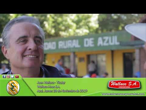 28-11-19 - Juan Wallace - Titular - Wallace Hnos. S.A. - Azul