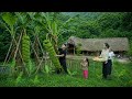 Harvesting 100kg Of Bananas For Sale Cooking Small Family Life In The Countryside