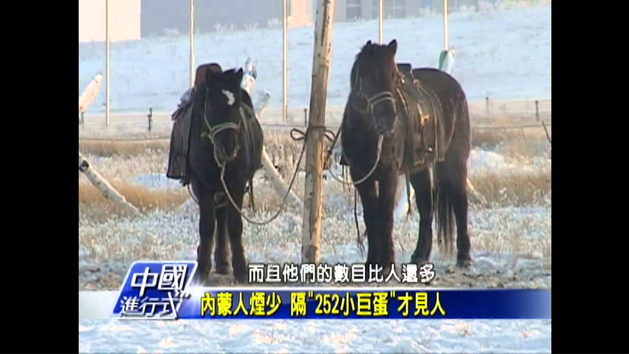 【中國進行式】零下氣溫拚觀光財 動物風光噱頭