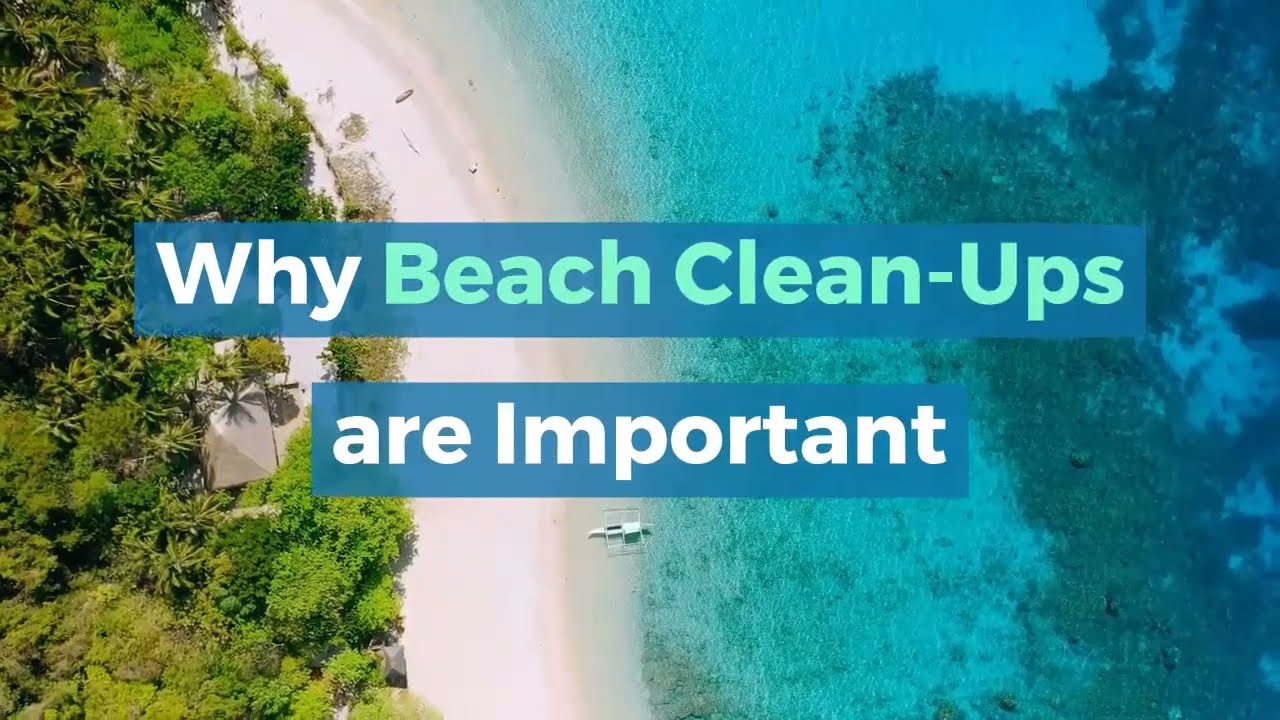 Why Beach Clean Ups are Important