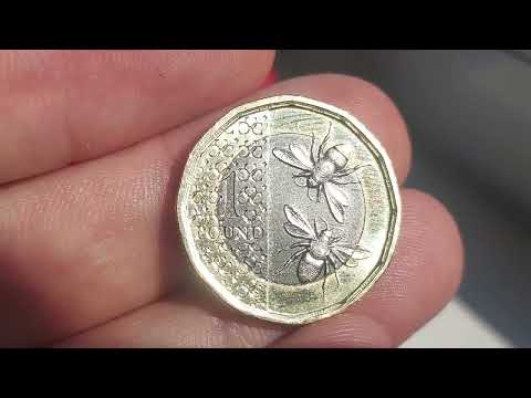 2025 2 BEES £1 COIN FIND! CHECK YOUR CHANGE