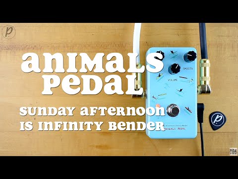 Animals Pedal Sunday Afternoon Is Infinity Bender V1 2010s - Blue image 3