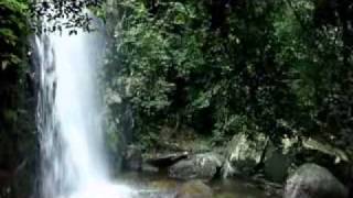 Mary Hopkin - Turn Turn Turn