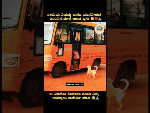 Dog’s True Love ❤️ | Little Girl and Dog Emotional Story 🥺 | Kannada Short Story #viralshorts
