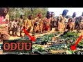 Oduu Hatattama WBON Harargee Lixaa Anoota Mi Essoo Bayyee Dhunfachuun Gabafamee Subscriber Like