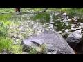 NT Rocky Portage