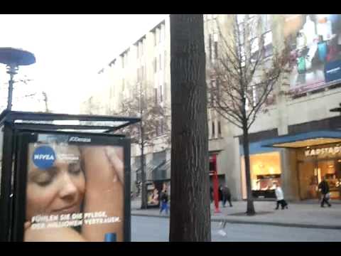 Möwen, die Quelle allen Übels!