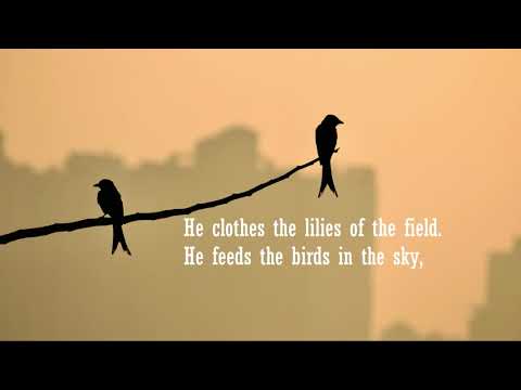 Consider the Lilies by Elenyi - Lyrics