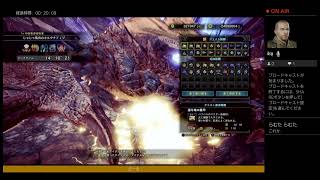 モンハンアイスボーン　MHWIB