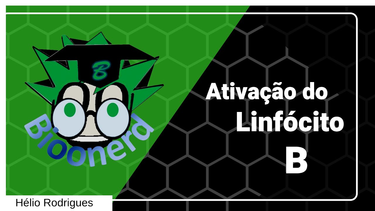 Ativação do linfócito B