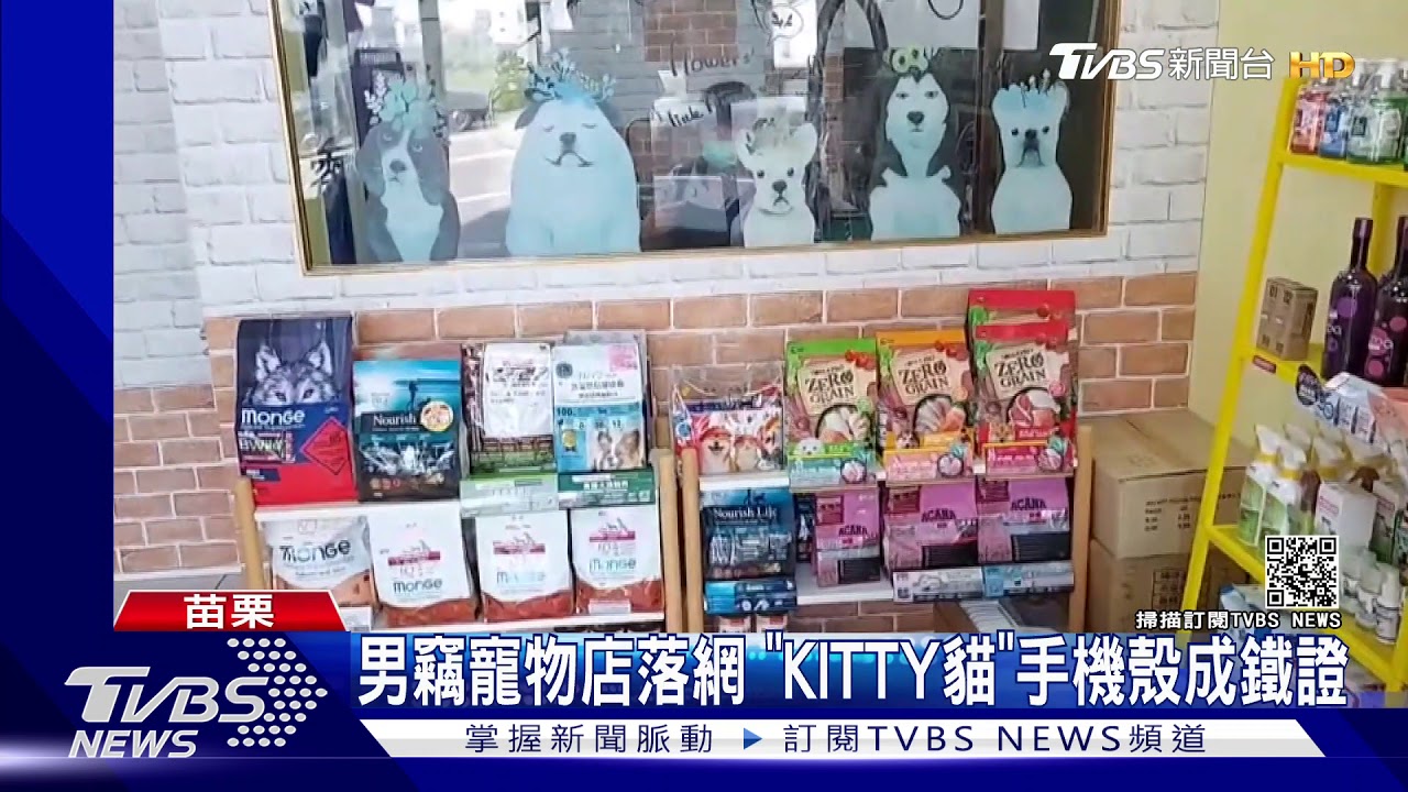 男竊寵物店落網 「KITTY貓」手機殼成鐵證