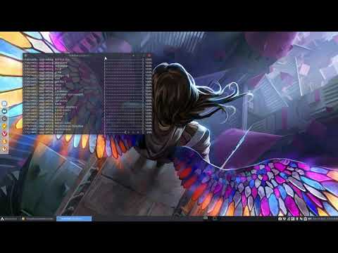 ArcoLinux : 1227 compton becomes picom - update + delete the old compton.conf in Openbox 1/2