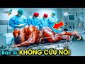 ✈️ 12 Sự Thật Về Nghề Thể Hình Bodybuilding Mà 99% Mọi Người Không Biết |Khám Phá Đó Đây