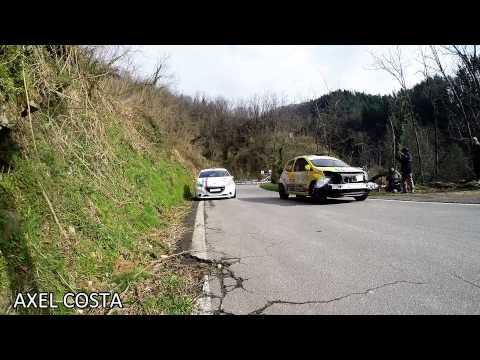 38° Rally del Ciocco 2015 (Panzani e Halfon crash)