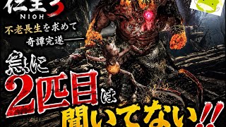 【仁王3】 不老長生の奇譚終わらせた先でレフトニｶﾞｹｪ… 【初見プレイ】【ネタバレ注意】【第三十三幕】