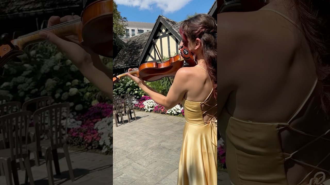 Promotional video thumbnail 14 for Wonder Violin
