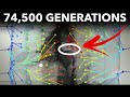 The Longest Running Evolution Experiment