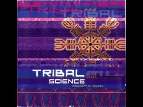 Psychaos - Perception of Reality