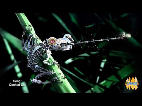 200 Subscriber Special - Mix (Pfeifer Broz.)