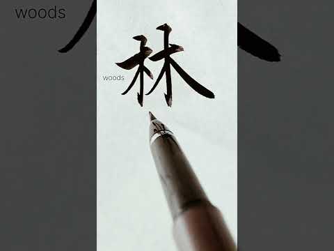Rincon【ﾘﾝｺﾝ】アメリカ合衆国の名字を漢字に変換して書いてみた【Japanese】#Shorts