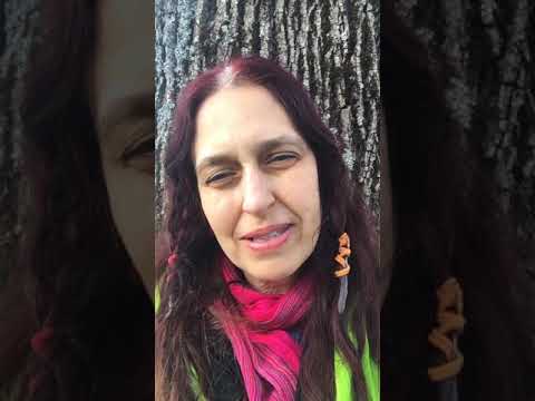 Neumond in Widder & die universelle Heilmeditation 🙏🏻🌍🙏🏿💚