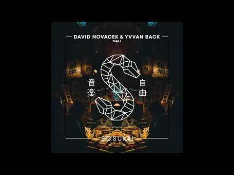 DAVID NOVACEK & YVVAN BACK- Mali (Original Mix)