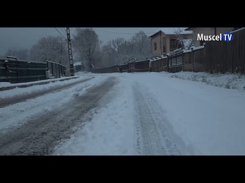 Jurnal MUSCEL TV 15.12.2022 Deszăpezire la Câmpulung