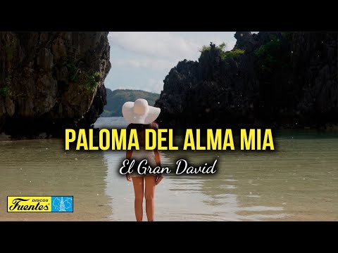 Paloma Del Alma Mía - El Gran David (Video Letra) | Discos Fuentes
