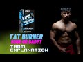Do Fat Burner Supplements Work ? Results ? Side Effects ? Explained in Tamil