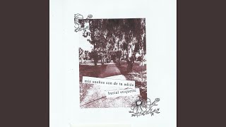 Cover art for Solace