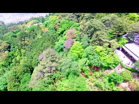 唐沢山城跡(空から見た佐野市)