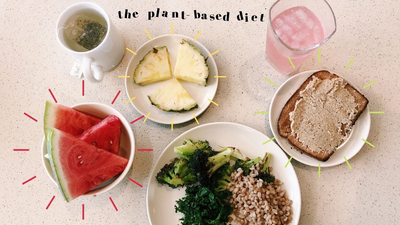 how a plant-based diet affects obesity 🌱