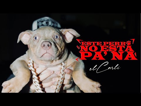 El Carli - ESTE PERRO NO ESTÁ PA NA (Video Oficial)