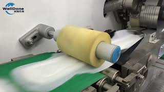 Sanitary Napkin Machine