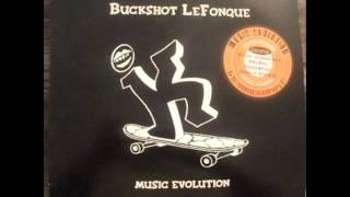 Buckshot Lefonque - Music Evolution (The Future Version) - 1996