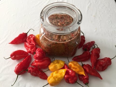 download lagu mp3 mp4 Recipes Using Garden Salsa Peppers, download lagu Recipes Using Garden Salsa Peppers gratis, unduh video klip Recipes Using Garden Salsa Peppers