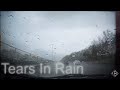 Tears in rain - اشک در باران