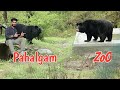 Pahalgam zoo | Akad park | Anantnag #kashmir #vlogs