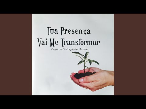 Salvador maravilhoso video