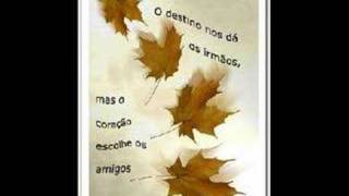 E mesmo que a lua va - Babado novo