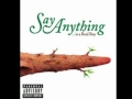 Say Anything - An Orgy of critics