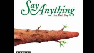 Say Anything - An Orgy of critics