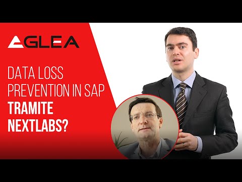 Data Loss Prevention in SAP tramite Nextlabs
