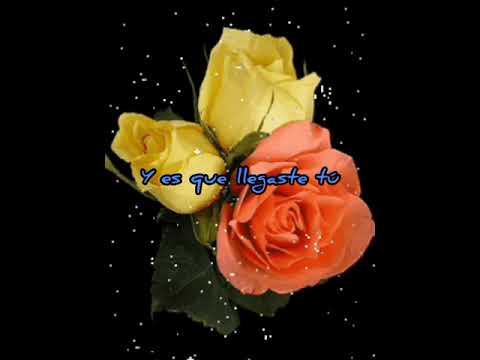 Y es que llegaste tú - María Conchita Alonso [LETRA]